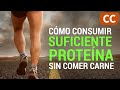 Cmo consumir suficiente protena sin comer carne  ciencia de la comida