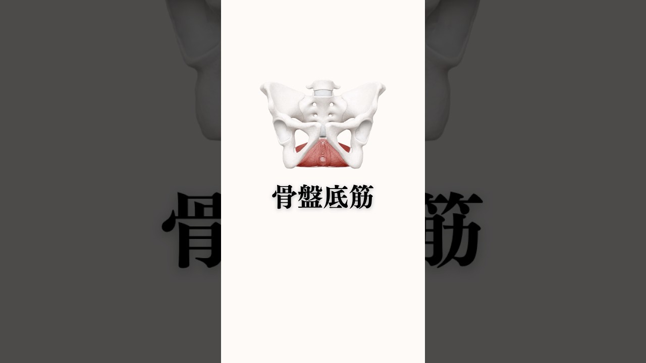 女性が衰えやすい骨盤底筋のエクササイズ!