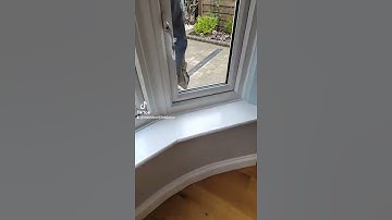 Find fun offers on TikTok Rewards. Use my invite code: AG87804319. https://vm.tiktok.com/ZMLLG3rVj/