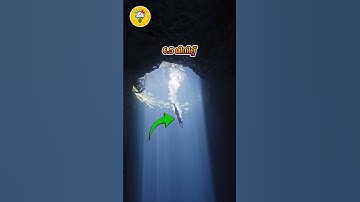 കടലിൻ്റെ അടിത്തട്ടിലേക്ക് #short #viral #shortvideo #youtubeshorts #knowitmalayalam  #yt #ytviral