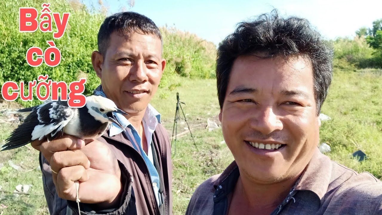 Đi bẫy cưỡng và cái kết