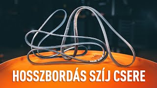 Cserélje ki saját kezűleg a Hosszbordás szíj - ingyenes oktatóvideó