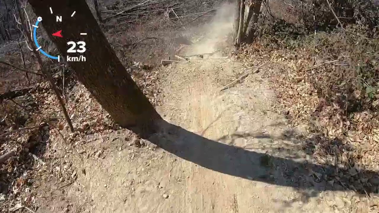 Maddalena Susy DH seguendo Petissi e Sangalli.