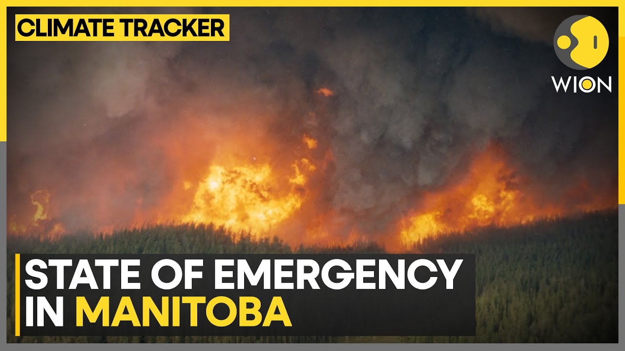 Climate Change Fuels Wildfires In Canada | WION Climate Tracker | World ...