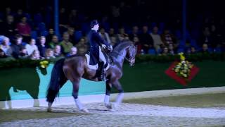 Fidertanz V. Fidermark - Ravallo Hengstvorführung 2015 Böckmann Pferde