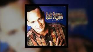 Traicionera @LuisSeguraElPapa