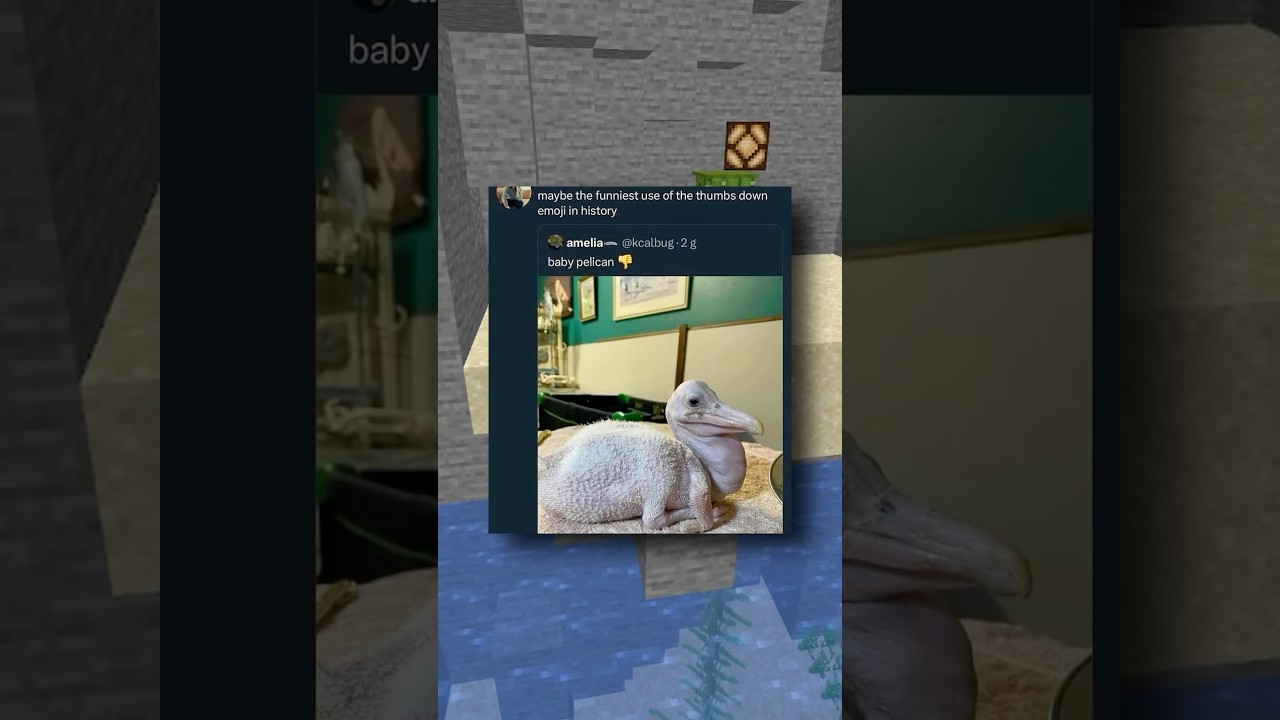 Scrumptious Memes! 😋