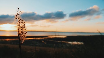 Australian Island | Panasonic GH5 + Zhiyun Crane 2 (Cinematic)