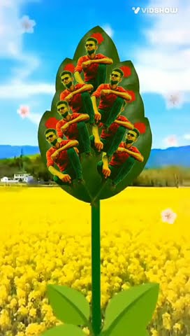 16 जुलाई 2023