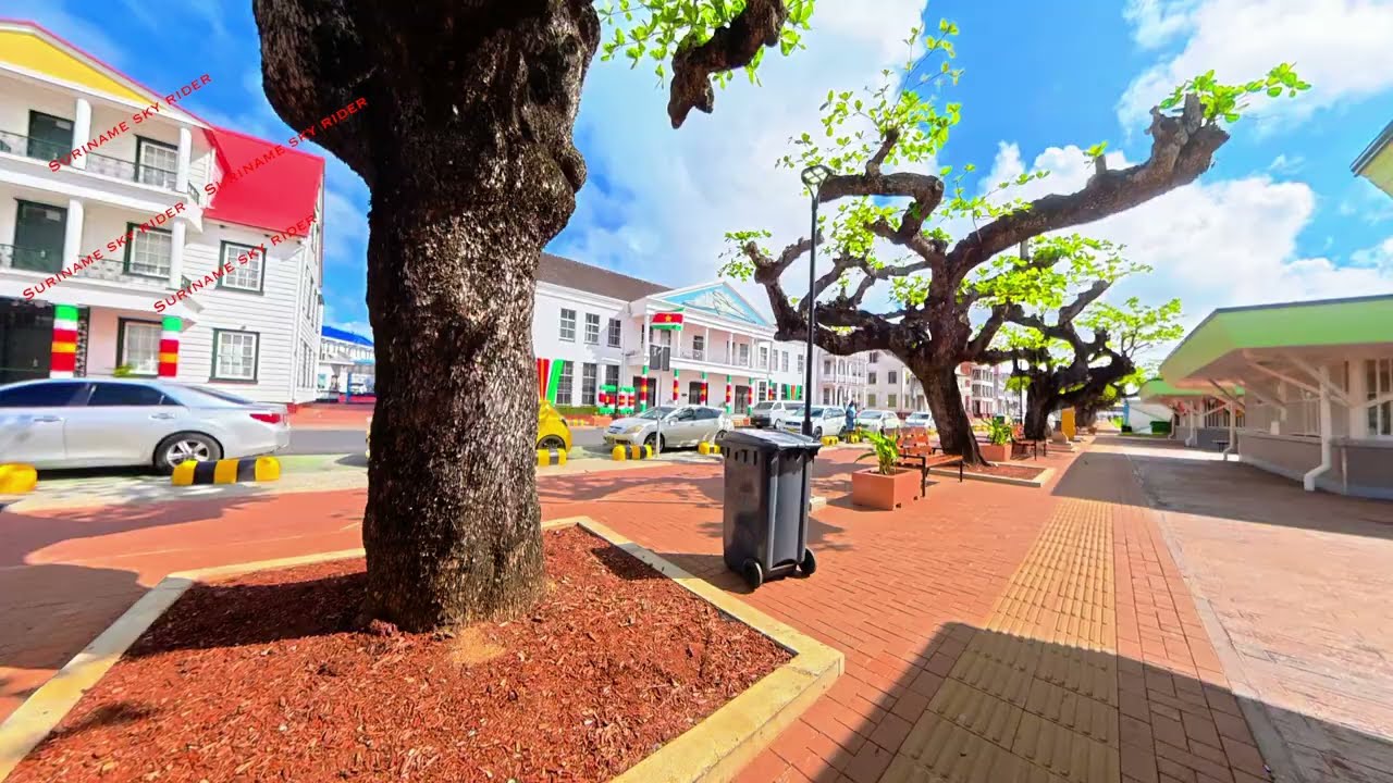 Wandeling langs de nieuwe waterkant  23 11 2025