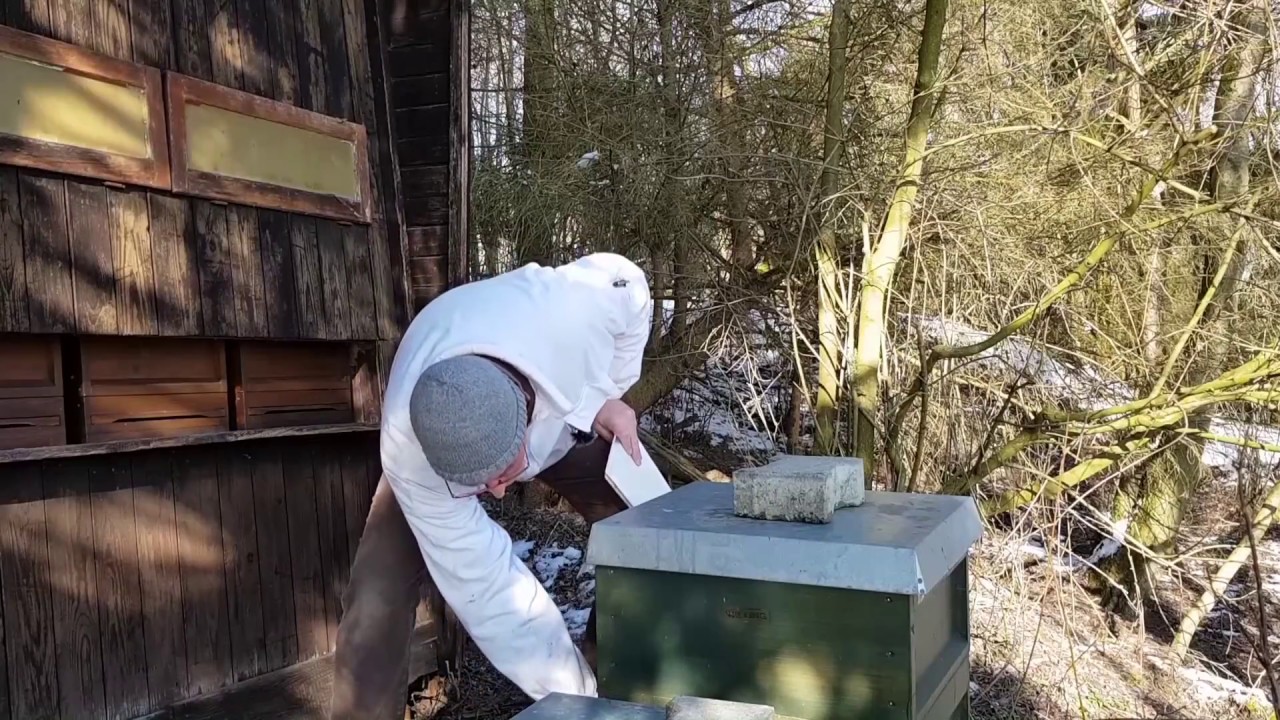 1. Futterkontrolle im Februar - YouTube