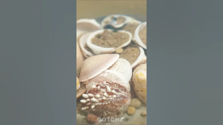 Cool Hack to Find Beautiful Shells on the Beach 🏖️ #shorts - DayDayNews