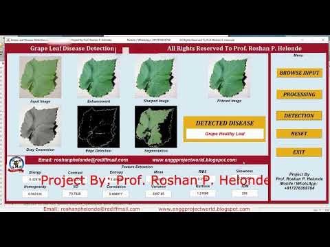 Grape Leaf Disease Detection Using Image Processing | Matlab Project With Source Code