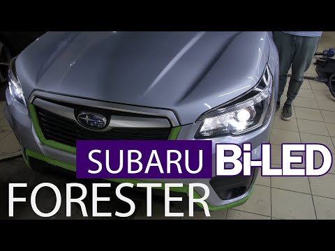 Обновление света на Subaru Forester