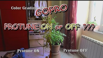 PROTUNE GOPRO on or off? find it out
