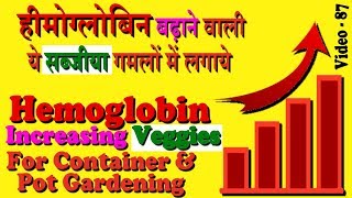 Vegetables for Hemoglobin increasing|Growing vegetables in pot