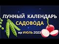 Что посадить в июле: лунный календарь огородника на июль 2023