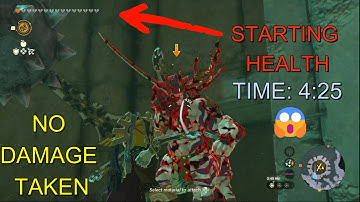 ⚡FAST & NO DAMAGE 😱 FLOATING COLISEUM in Zelda: 𝕋𝕖𝕒𝕣𝕤 𝕠𝕗 𝕥𝕙𝕖 𝕂𝕚𝕟𝕘𝕕𝕠𝕞 (4:25 ⏱️)