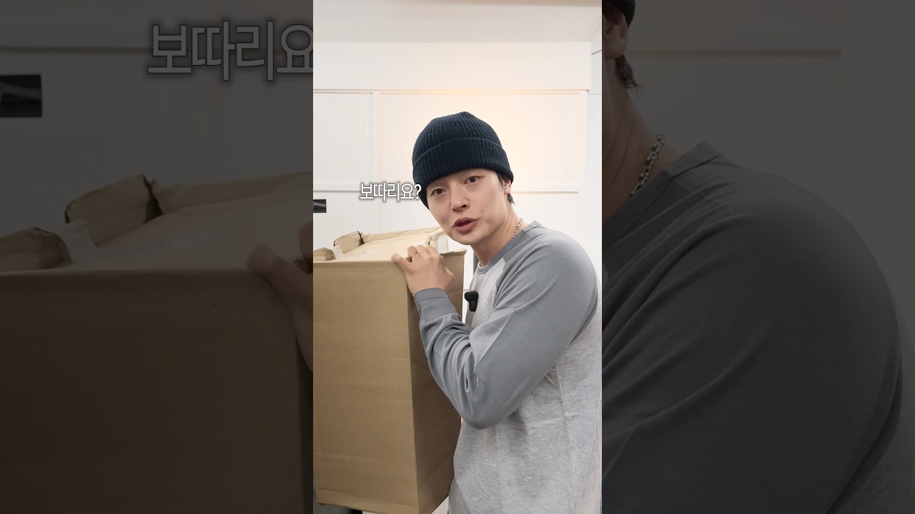 가을 쇼핑 좋았다?