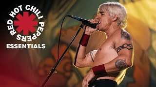 The Best of Red Hot Chili Peppers | Otherside, Californication, Under the Bridge & More