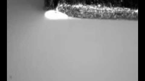 Thermal-Biomorph/Electrostatic Organic Ciliary Array (the actuators)