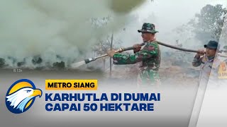 50 Hektare Lahan dan hutan di Dumai Terbakar