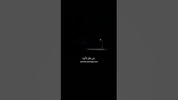 وَالَّذِينَ إِذَا فَعَلُوا فَاحِشَةً أَوْ ظَلَمُوا أَنفُسَهُمْ ذَكَرُوا اللَّهَ| القارئ محمد ديبيروف