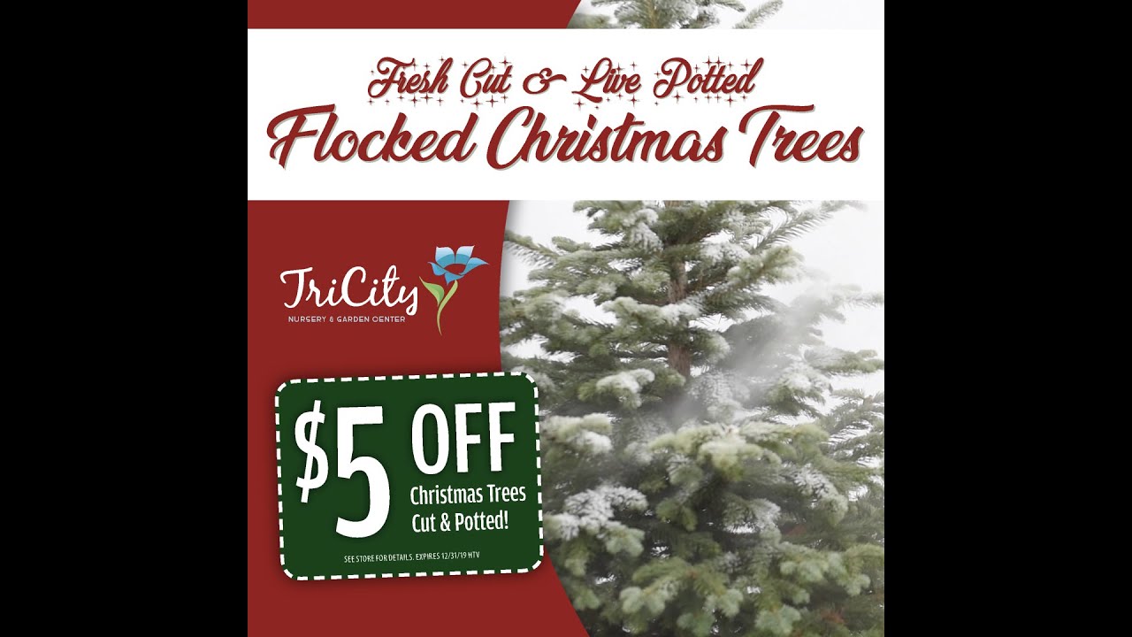 5 OFF Christmas Trees! YouTube