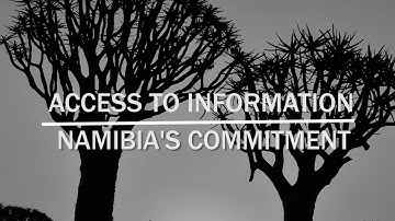 Access to Information