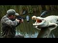Alligator Gumbo | Mississippi bayou | theHunter: Call of the Wild
