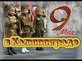 9 МАЯ В КАЛИНИНГРАДЕ [ 2019 ]