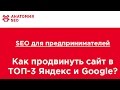 SEO для предпринимателей: как продвинуть сайт в ТОП-3 Яндекса и Google
