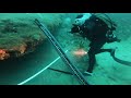 Warsaw - Grouper Shootin' Gallery - Spearfishing South Carolina