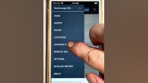 Workaround for 1.0.702 missing Restore and Enable Purchases