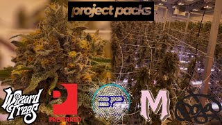 BIGGEST GROW IN ARIZONA | PROJECT PACKS
