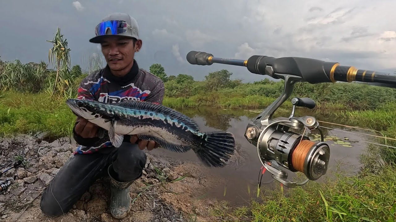 Strike Ganas! Iroly astro Lawan Toman Barbar. CASTING TOMAN 