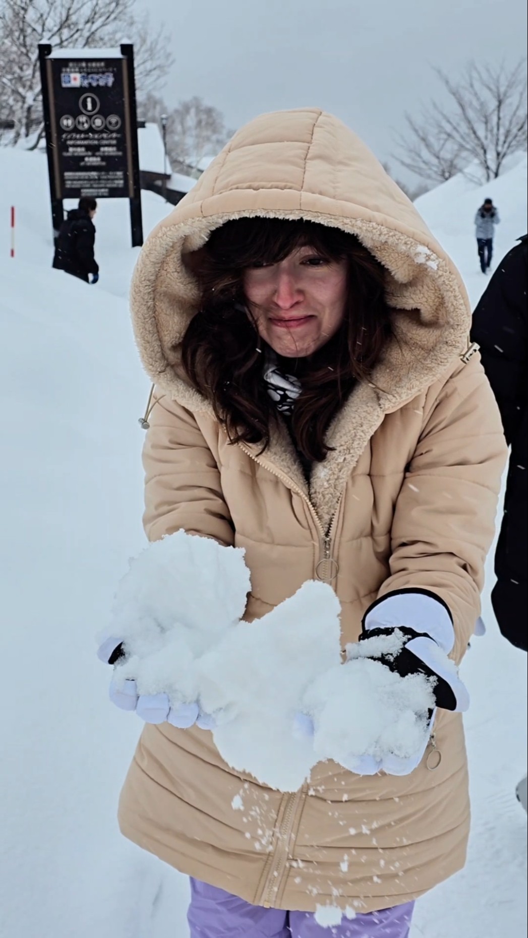 Corazon de nieve :'v | • Liza Baez •