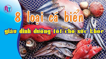 8 loại cá biển giàu dinh dưỡng tốt cho sức khỏe - Niem tin Life [Giọng đọc: Minh Hiếu]