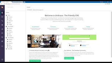 Using Translation Manager for Umbraco