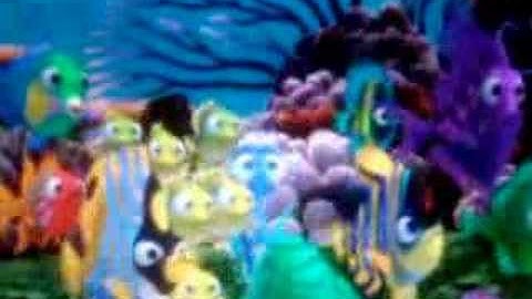 Nemos swimming out to the boat!!