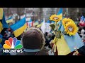 Sunflowers Marking Support For Ukraine