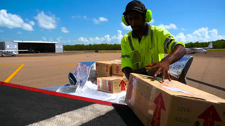 Crocs, Crayfish and Community – Welcome to Horn Island