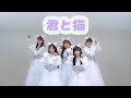 乃木坂46「君と猫」踊ってみた【紬坂46】