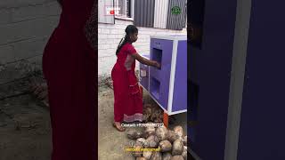 Coconut Dehusking / Coconut Peeling Machine #shorts