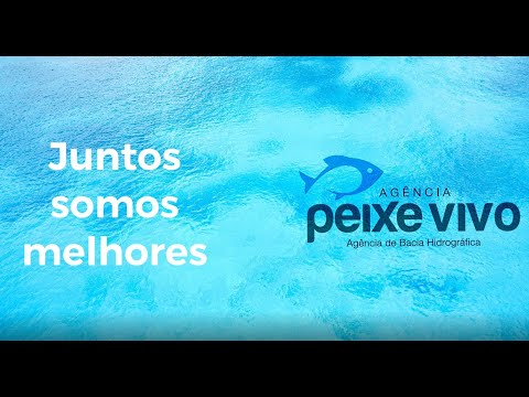 Agência Peixe Vivo - Juntos Somos Melhores - 2021