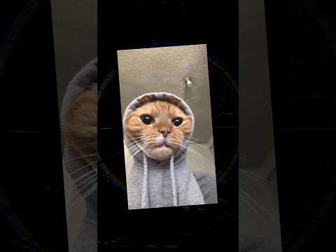 ليش الشتاء أفضل من الصيف