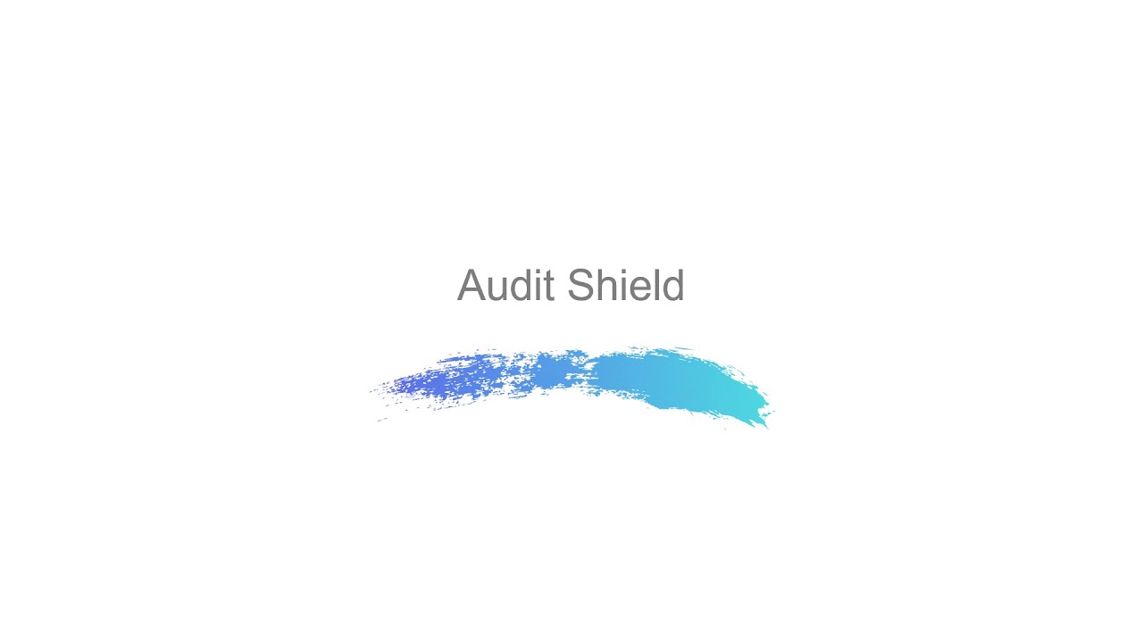 Audit Shield
