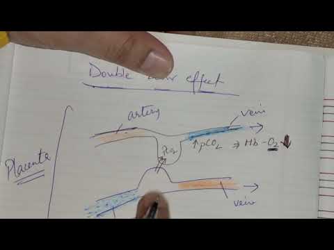 Double Bohr effect