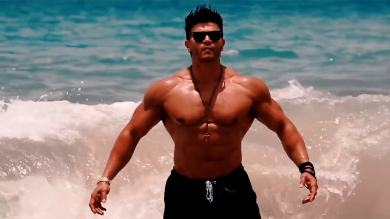 CLOSE - CÃO DE RAÇA