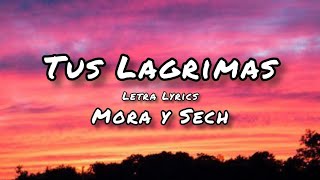 Mora, Sech - Tus Lagrimas (Letra/Lyrics